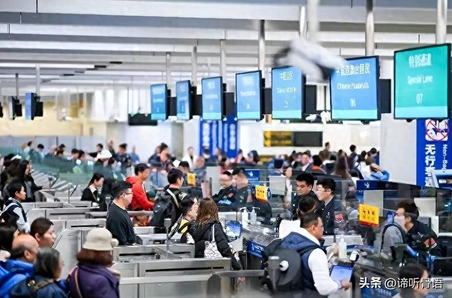 再造人卡辛 视频封面