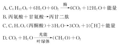 20歲的差距 视频截图