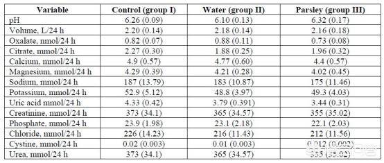 倫敦佬對抗活死人 视频封面