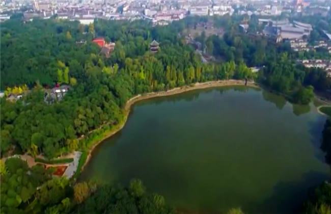 保持通話 视频封面