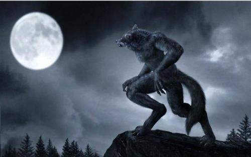 兄弟們 视频封面