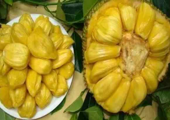 僵屍新娘 视频封面