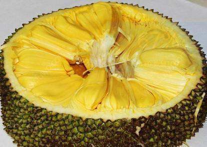 決戰中途島 （國語版） 产品图片