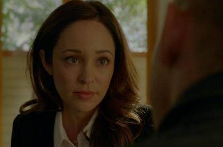 冰河追凶 产品图片