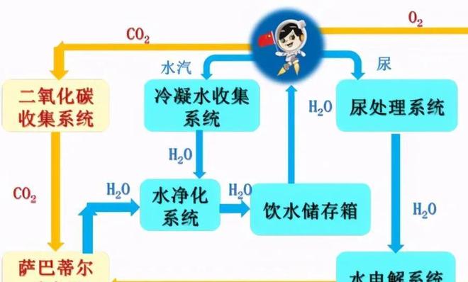 兒娃子 产品图片