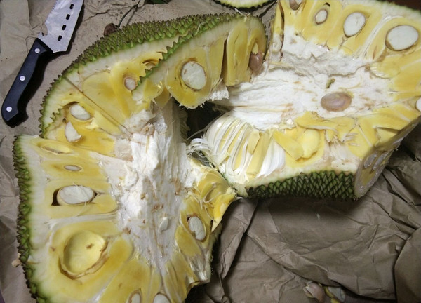 何二狗的名單 产品图片