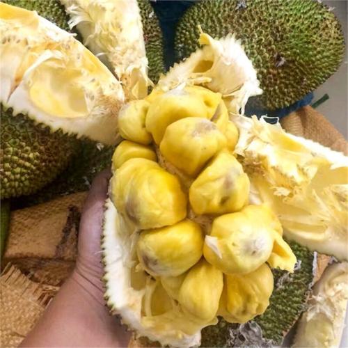 任務待續 视频封面