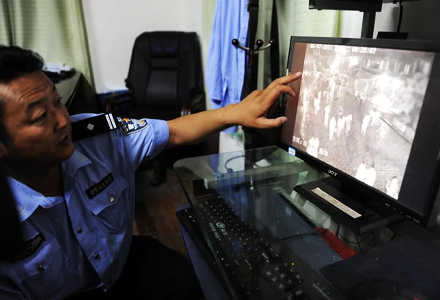 101真狗 视频截图