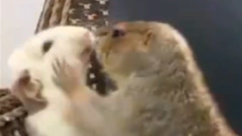 TOKYO MER～移動的急救室～電影版 视频截图