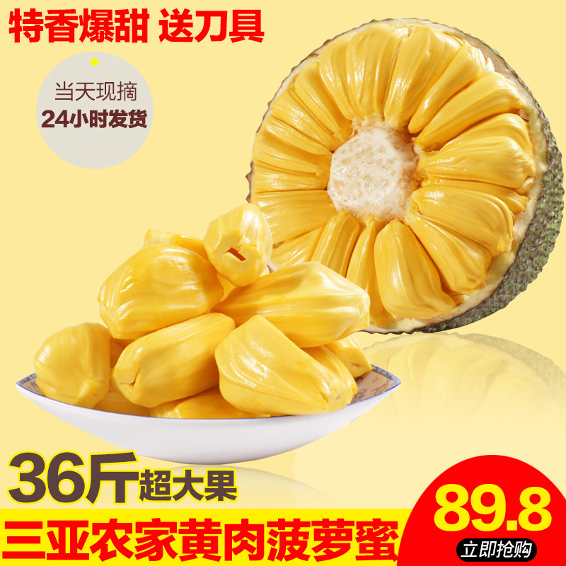 鳳梧洞戰鬥 视频封面