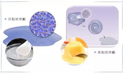 信念一生 视频封面