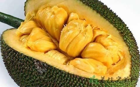 夜伴情人 视频封面