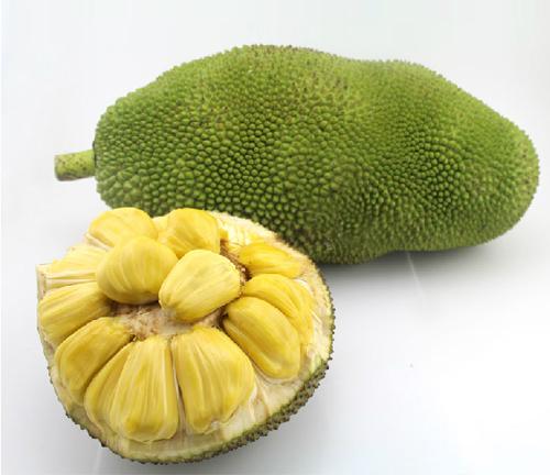 元首與引誘者 视频封面