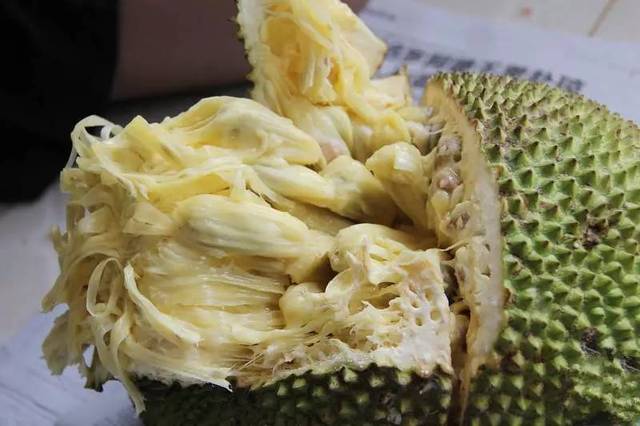 仙履奇緣 视频封面