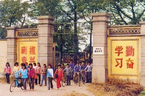 倩狐之妖亂青華