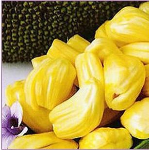 回到愛開始的地方 产品图片