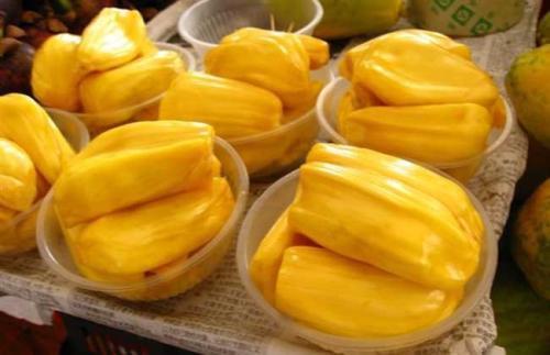 會長的貼身校花 视频封面