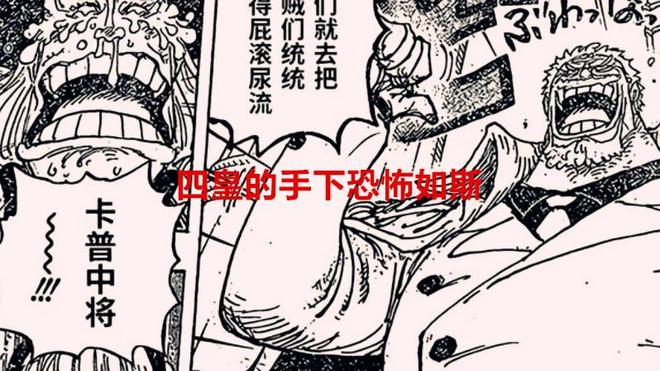 塞勒斯 产品图片