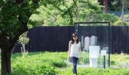 偷狗的完美方法 视频封面