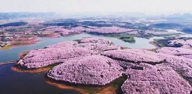 他跨越山海而來 视频封面