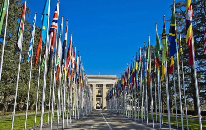 借錢專家 视频封面