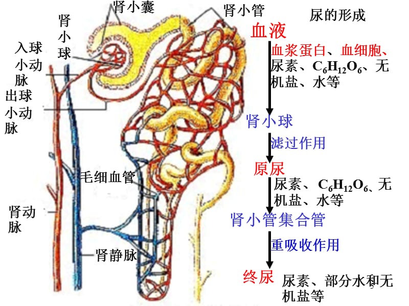 鳳梧洞戰鬥 产品图片
