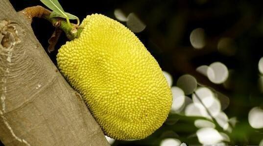 冰峰遊戲 视频封面