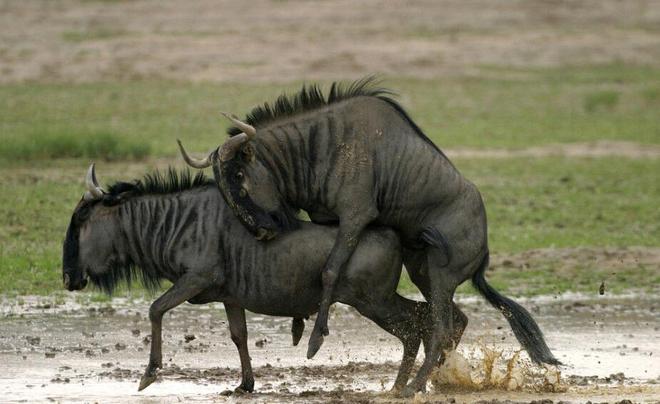 隻想愛你 视频封面