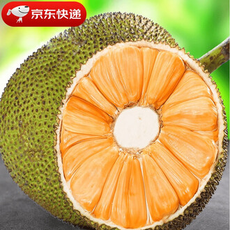 俠影留香 视频封面