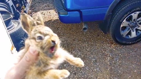 冰雪女王4:魔鏡世界(國語版)