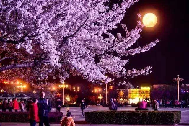 僵屍2013 视频封面