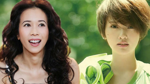 冬薔薇 视频封面