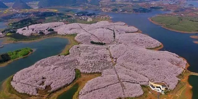 聖誕救星 产品图片