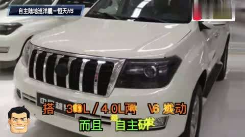 冰球壞小子 视频封面