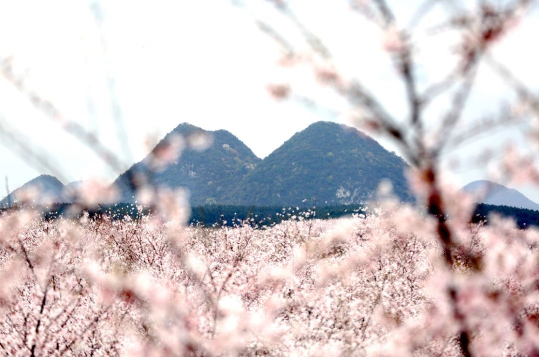 你是特別的 视频封面