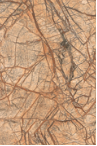 偷心者 视频封面