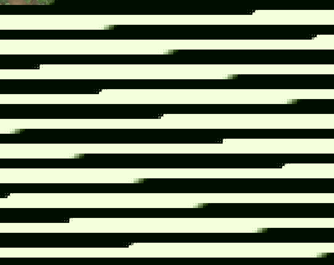 傳話人 视频封面