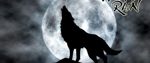 冬薔薇 产品图片