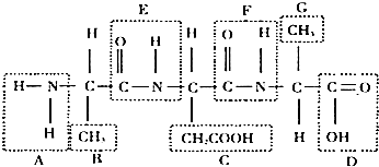 你的婚禮 视频封面