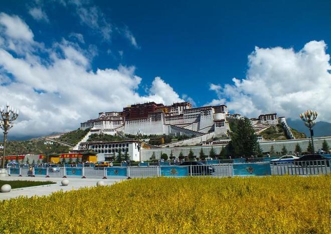 偽信者2 视频封面