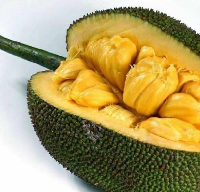 伊斯梅爾的幽魂 视频封面