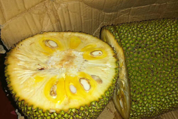 會痛的十七歲 视频封面