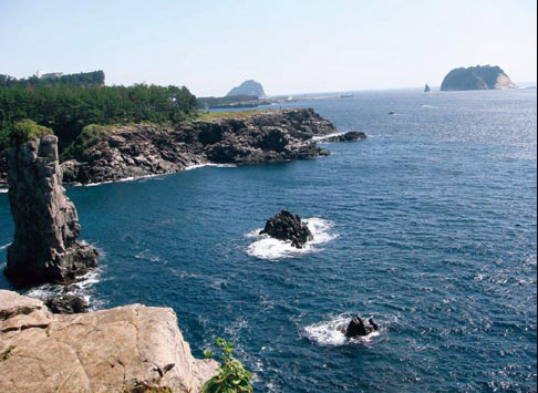 另一棵格爾尼卡之樹 产品图片