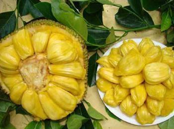 代客泊車 视频封面