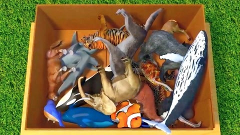 他們回家的那晚