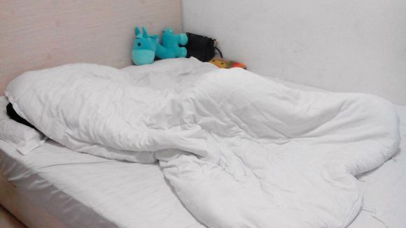 倩狐之妖亂青華 视频封面