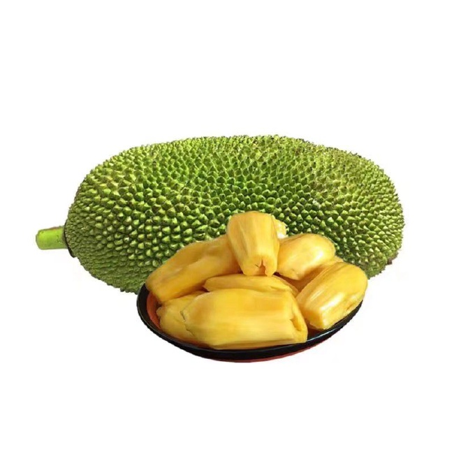 信仰：終極之戰 视频封面