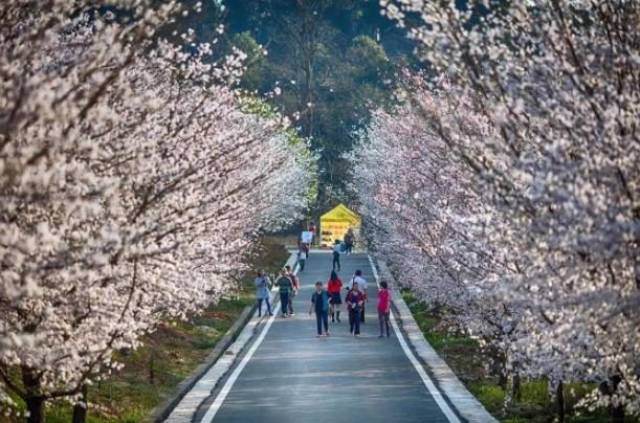 假裝不正經 视频封面