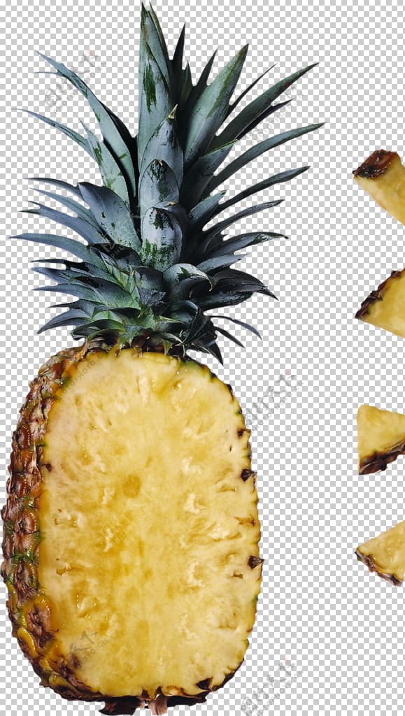 伏妖天師 视频封面