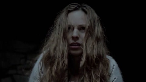 冬薔薇 产品图片